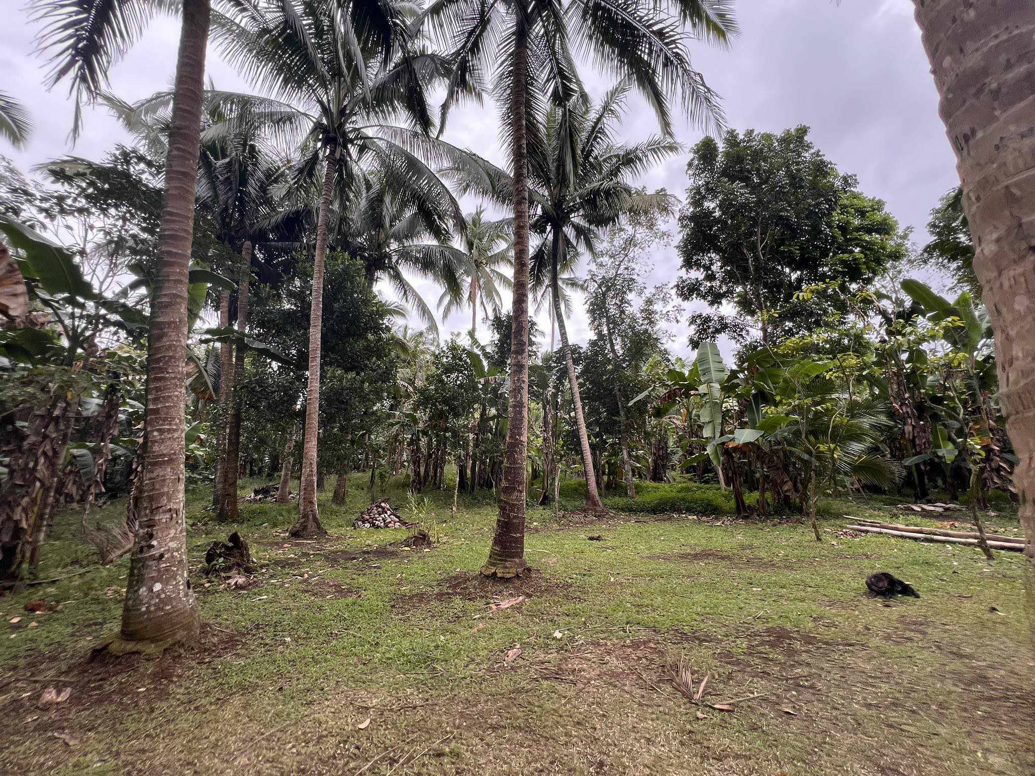 Cavite Alfonso IV (Poblacion) Alfonso Cavite Philippines 4123