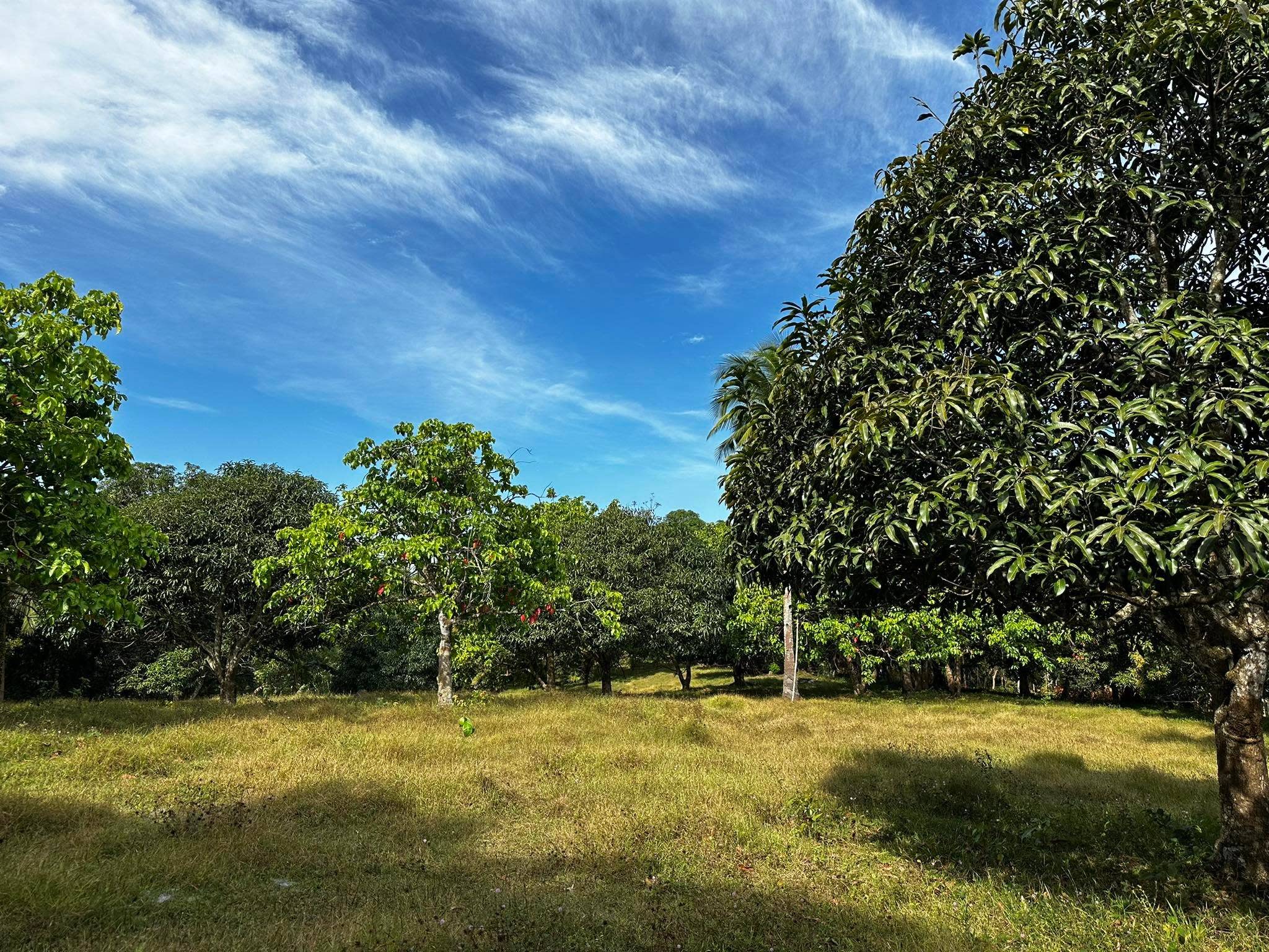 Cavite Indang Banaba Lejos Indang Cavite Philippines 4122